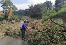 Avanza liberación de tramos carreros en Los Altos