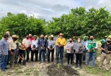Carlos Morales Vázquez entrega plantas frutales a productores locales de El Jobo y Terán