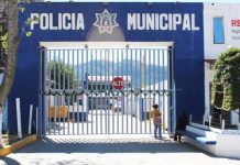 Solo 33% de reportes de violencia de género se denuncian ante el MP en San Cristóbal de Las Casas