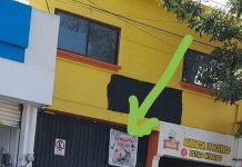 Por corrupción, pide asociación de bares de Tuxtla Gutiérrez la renuncia de la titular de Cipris