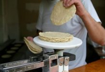 Tortilla podría subir hasta 3 pesos en el mes marzo