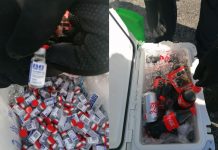 Decomisan más de 5 mil vacunas rusas en aduana del Aeropuerto de Campeche