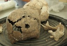 Unicach lanza convocatoria de ingreso para la Licenciatura en Arqueología