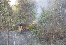 Condena Karla Burguete Torrestiana, actos irresponsables que provocaron el incendio en el Cerro Mactumatzá