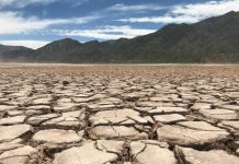 Monitoreo internacional pronostica sequía anormal en Chiapas