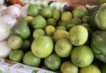 Estiaje manda al limón por las nubes