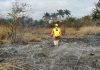 Disminuyen incendios en Tuxtla como resultado de la estrategia de prevención: Protección Civil