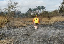 Disminuyen incendios en Tuxtla como resultado de la estrategia de prevención: Protección Civil