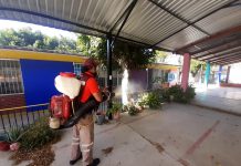 Secretaría de Salud municipal de Tuxtla intensifica acciones contra el dengue