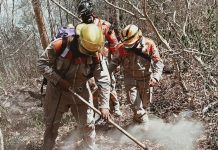 Brigadistas liquidan incendio en el Cañón del Sumidero
