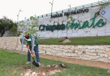 Más de mil árboles plantados en el arranque del programa de reforestación municipal “Plantando Futuro”