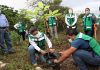 Reforestan en Tuxtla zonas afectadas por invasiones del Parque Nacional «Cañón del Sumidero»