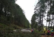 Elevan tarifas de transporte por bloqueos carreteros