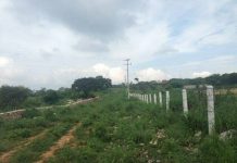 Cerca de 6 mil consultas se registran a la fecha en la aplicación digital “No compres riesgos”