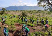 Ayuntamiento de Tuxtla refuerza zonas afectadas del Parque Nacional Cañón del Sumidero