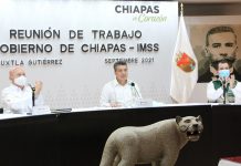 Se fortalece estrategia de vacunación anticovid con aplicación casa a casa: Rutilio Escandón