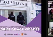 Presenta Consejo Consultivo para “Garantizar el derecho de las Mujeres a una Vida Libre de Violencia” informe de acciones