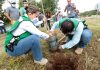Ayuntamiento de Tuxtla realiza acciones de reforestación en el ejido El Jobo