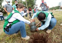 Ayuntamiento de Tuxtla realiza acciones de reforestación en el ejido El Jobo