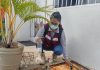 Ayuntamiento refuerza acciones para evitar enfermedades por Dengue y otras Arbovirosis