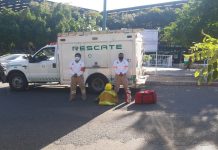 Saldo blanco en las fiestas de fin de año reporta PC