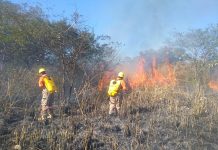 Quema de basura, principal causa de incendios urbanos en Tuxtla