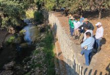 Inicia segunda etapa de limpieza del río Sabinal
