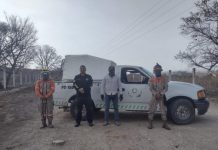 Participa SSPM en prevención y combate de incendios forestales