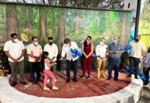 Premiación de ganadores del Primer Concurso de Dibujo Infantil “Coloreando al Sabinal”