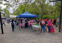 Se realiza Mercadito Las Tuxtlecas con la participación de más de 200 mujeres emprendedoras en Tuxtla