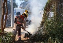 Coordinan esfuerzos dependencias municipales para evitar incendios forestales y urbanos en Tuxtla