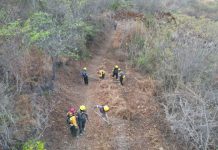 Sistema Estatal y Municipal de Protección Civil trabajan en brechas cortafuegos