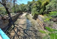 Satisfactorio avance de limpieza del río Sabinal