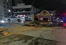 Colapsa árbol de primavera en 11 poniente y avenida central debido a las intensas lluvias