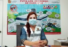 Destaca Secretaría de Salud Municipal avances en retiro de cacharros y llantas de colonias en Tuxtla Gutiérrez para prevenir enfermedades