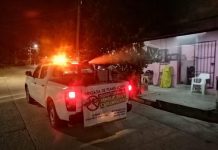 Avanza fumigación anti mosquitos transmisores de enfermedades como Dengue, Zika y Chikungunya