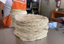 Tortilleros reconocen presencia de tortilla “pirata” en Tuxtla