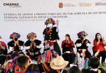 Entrega Rutilio Escandón luminarias y apoyos a productores agrícolas de Tenejapa, Santiago El Pinar y Larráinzar
