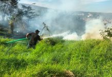 Héroes anónimos sofocan incendio en Ciudad maya