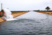 Alerta Conagua a vacacionistas de riesgos por nadar en canales de riego, presas, lagos y ríos