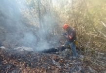 Liquida PC de Tuxtla incendio en el Mactumatzá