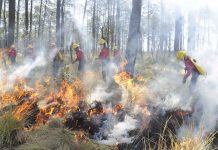 Las quemas e incendios traen graves consecuencias; Rutilio Escandón exhorta a evitarlos