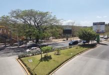 Rutilio Escandón asegura que no se tocará ningún árbol de los parques Joyyo Mayu, Caña Hueca y Tuchtlán