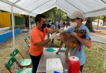 Ayuntamiento de Tuxtla Invita a la Campaña de vacunación antirrábica Canina y Felina Abril 2023.