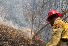 Siniestro de Mactumatzá controlado al 90 por ciento: PC Tuxtla