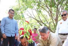 Ayuntamiento de Tuxtla Gutiérrez inicia reforestación en el Parque Nacional Cañón del Sumidero