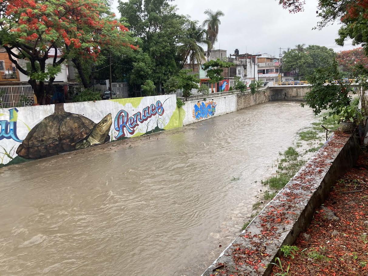 Tratamiento integral y visión de futuro, necesarios para el rescate del