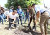 Ayuntamiento de Tuxtla continúa con la reforestación en la ciudad