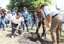 Ayuntamiento de Tuxtla continúa con la reforestación en la ciudad