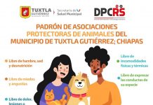 El Ayuntamiento de Tuxtla Gutierrez, promueve el registro de asociaciones civiles protectoras de los animales de compañía